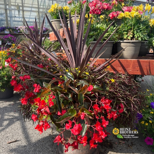 Red flower hanging basket
