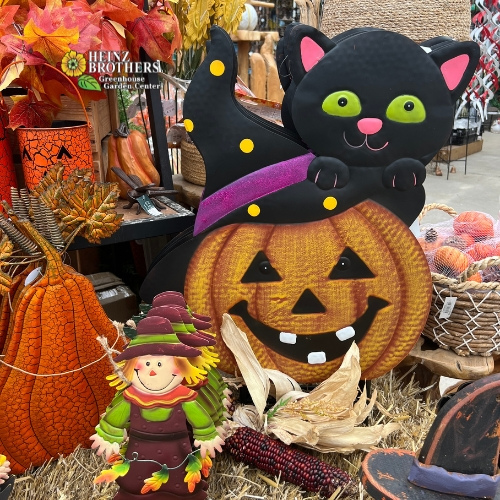 fall designs like jackolantern, black cat, pumpkin, scarecrow metal yard signs and decorations for fall and halloween