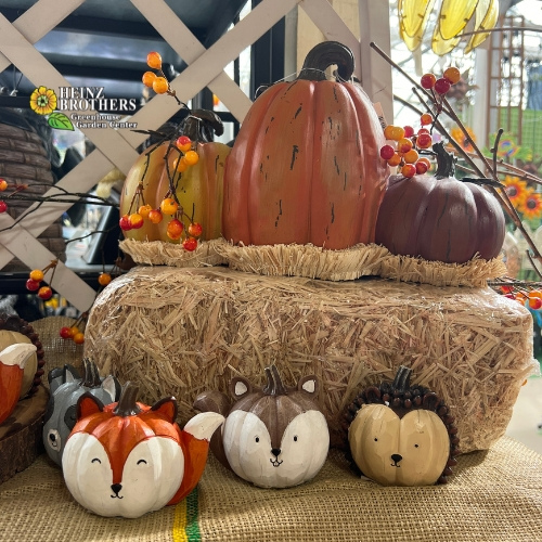 Seasonal and holiday decor and supplies