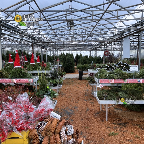 Heinz Brothers garden center with holiday plants and decorations