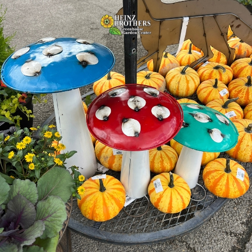 October garden accents