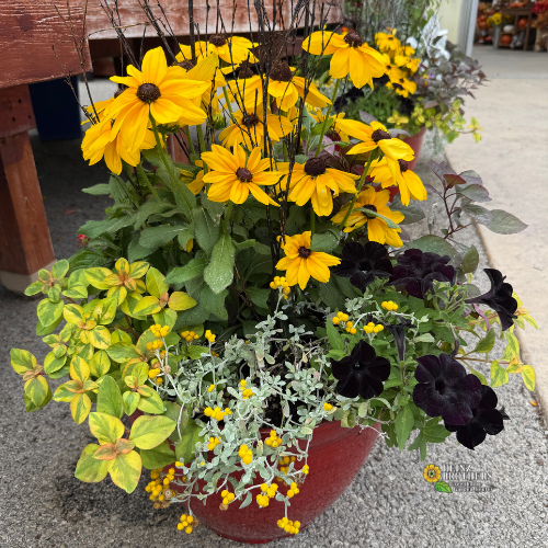 fall annual mixed planter