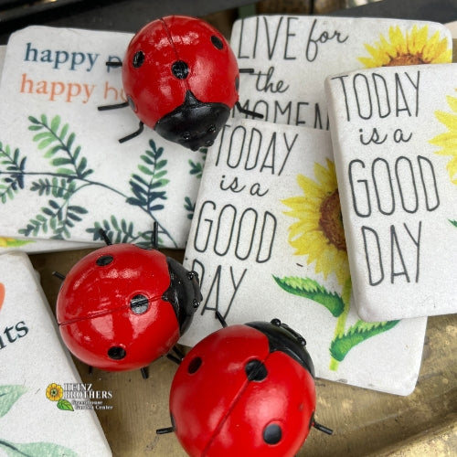 Lady bug garden decor next to garden flags