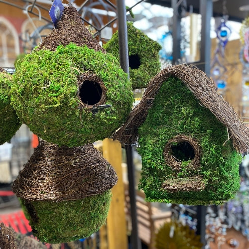 Wild bird houses inside of Heinz Brothers store