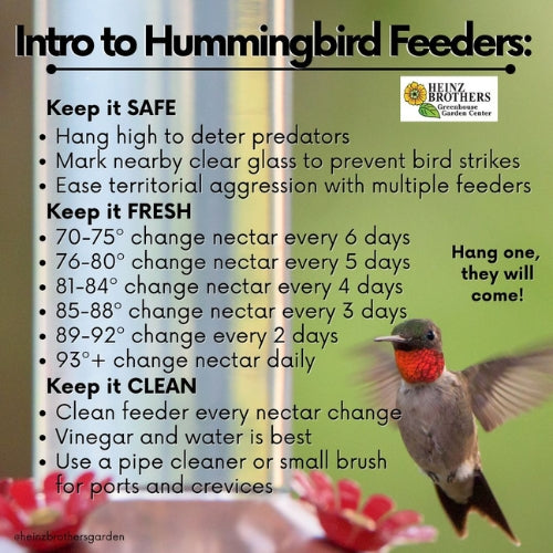 Humming bird feeder guide