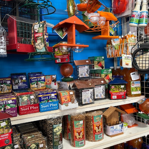 Wild bird suets inside of Heinz Brothers store