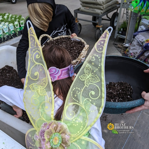 A girl dressed up with butterfly wings inside of the garden center at Heinz Brothers