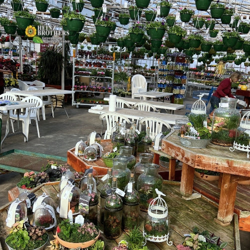 A party set up inside of the garden center at Heinz Brothers