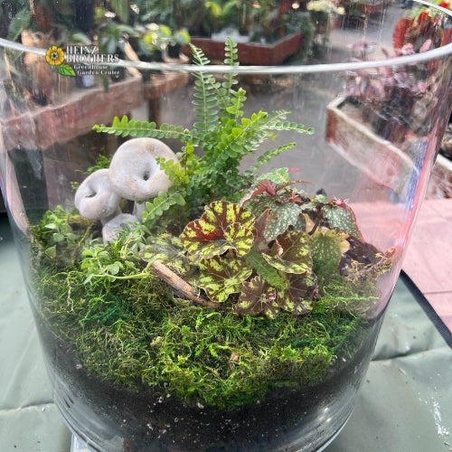 Fairy garden atrium