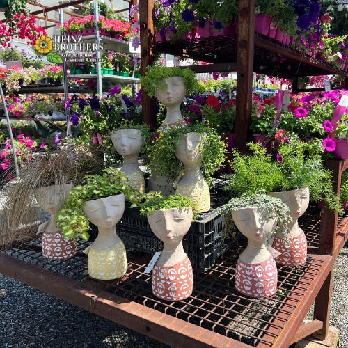 Decorative garden pottery