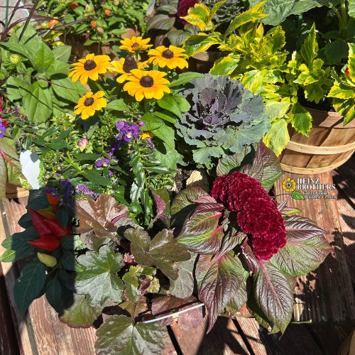 Hanging containers