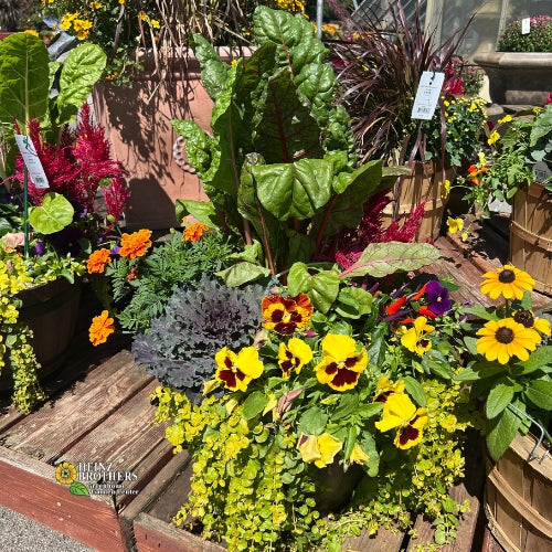 Hanging containers
