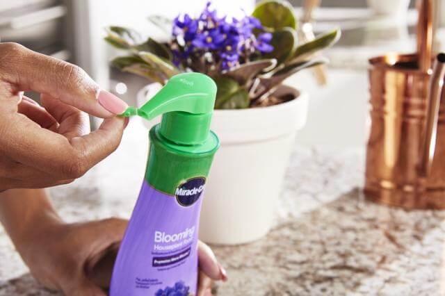Miracle-Gro® Blooming Houseplant Food - Charles, IL