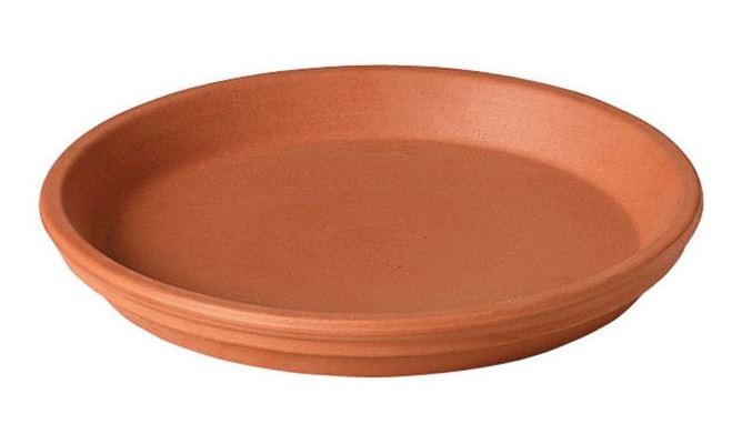 Deroma® Terracotta Traditional Plant Saucer - Charles, IL