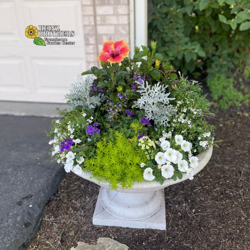 Spring plant containers