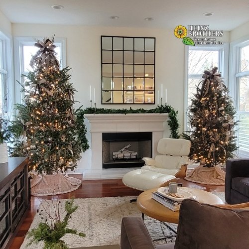 Two Christmas trees decorated indoors in front of a fireplace