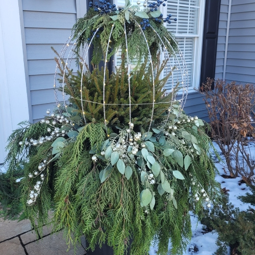 Holiday plants outdoors