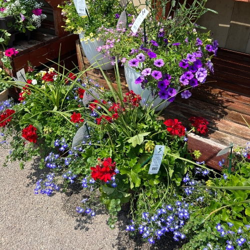 Seasonal and holiday decorations - assorted flowers