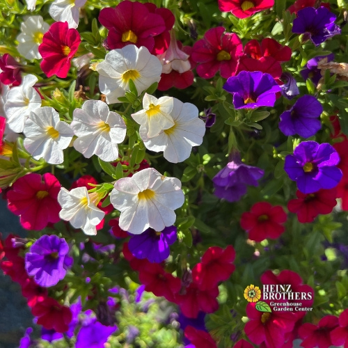 Seasonal and holiday decorations - assorted flowers