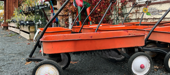 Wagon with perennial plants in background 