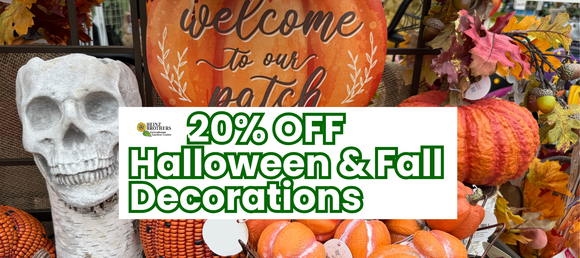 Halloween and fall decorations with a pumpkin sign and skull, featuring a discount banner.