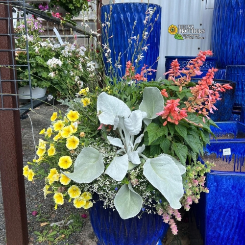 Yellow and pink flower hanging basket