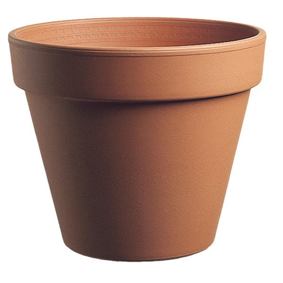 Border Concepts Italian Standard Pot Terracotta