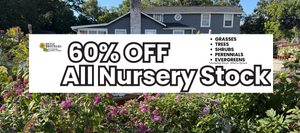 Promotional sign for 60% off nursery stock perennials trees grasses sshtrubs evergreens with a heinz brothers garden center in background