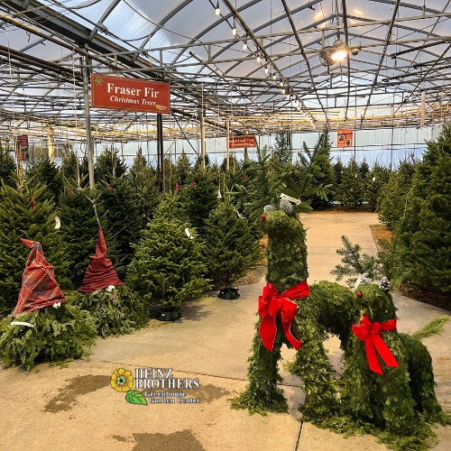 Heinz Brothers Christmas trees