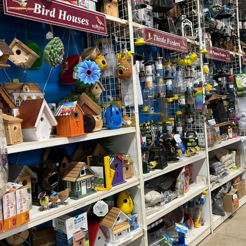 Wild bird houses inside of Heinz Brothers store