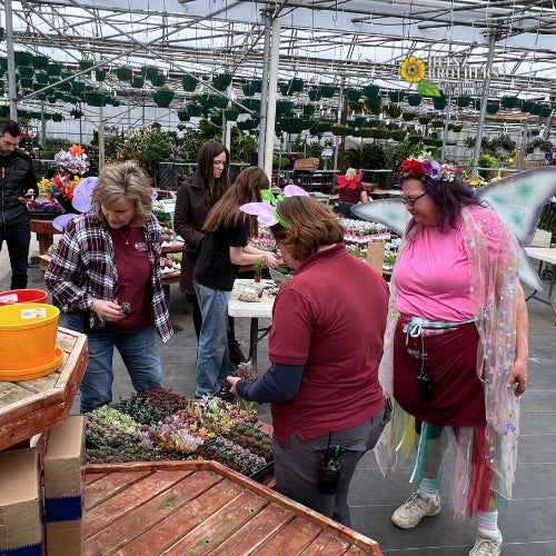 Children and adults dressed up for a party inside of the garden center at Heinz Brothers