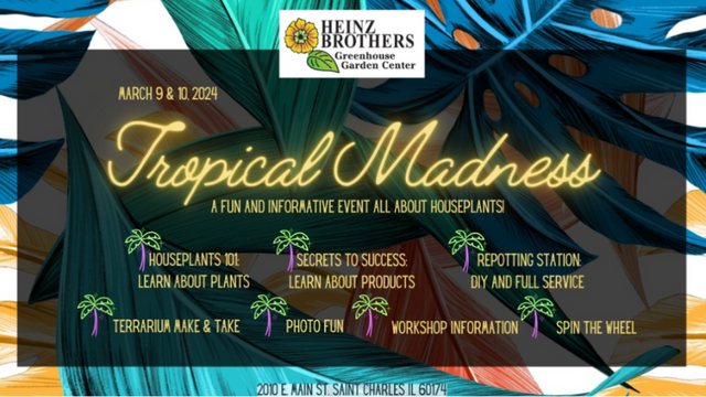 Tropical Madness event flyer