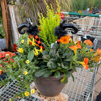 Seasonal Container