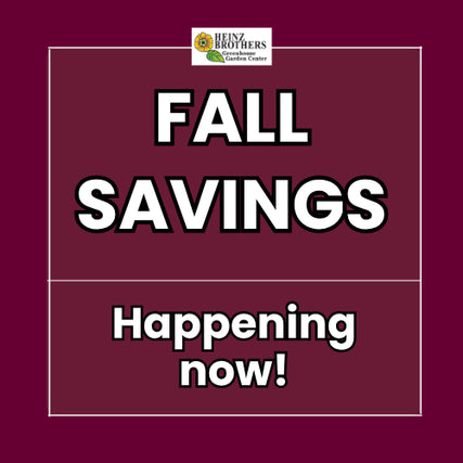 up to 50% off!