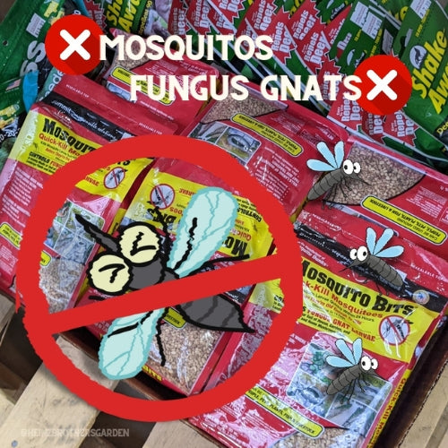 Garden and plant care fungus gnat solutions