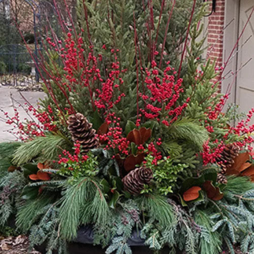 Seasonal & Holiday Containers