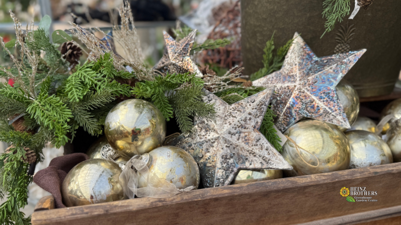 Seasonal & Holiday - Charles, IL - Heinz Brothers Garden Center