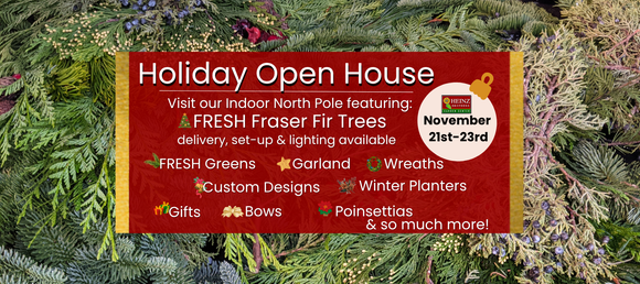 Advertisement for a holiday open house featuring indoor north pole, frasier fir trees, fresh greens, garland, wreaths, bows, gifts and custom holiday designs at heinz brothers greenhouse garden center 