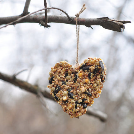 Bird & Wildlife SuppliesBird seed in the shape of a heart