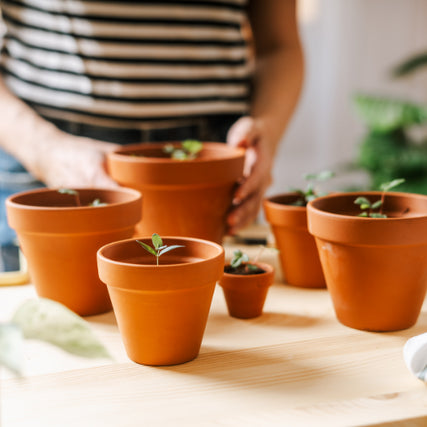 Pots & PotteryPlant pots