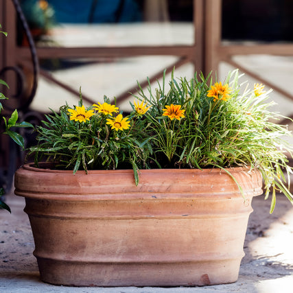 Custom Seasonal Container PlantingFlower pot