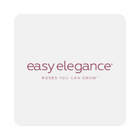 Easy Elegance