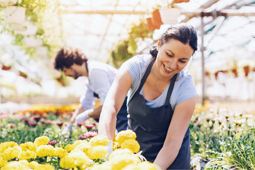 Garden center employees