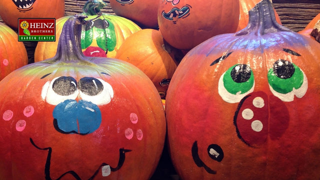 Painted pumpkins