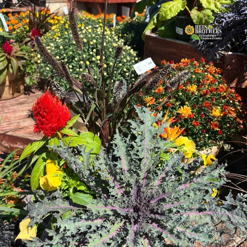 Hanging containers