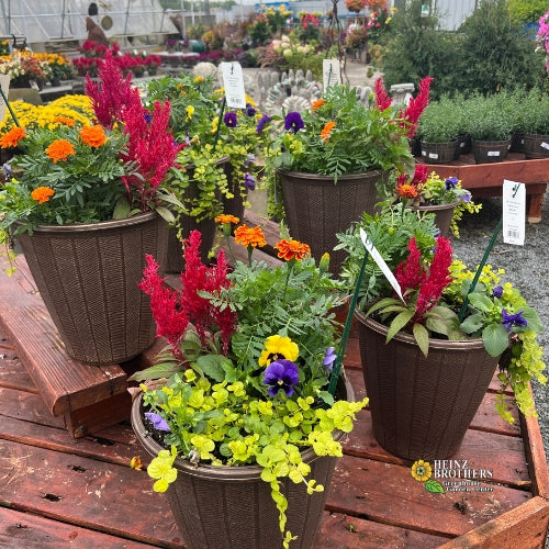 Hanging containers