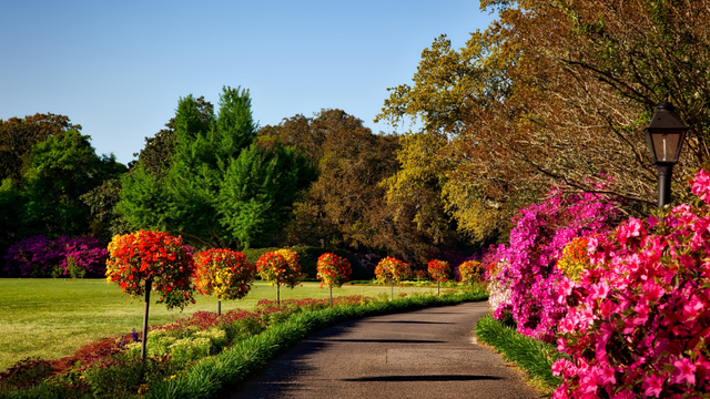 Flower garden