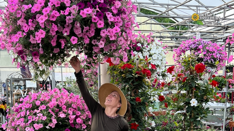 Hanging Baskets & Container Gardens - Charles, IL - Heinz Brothers