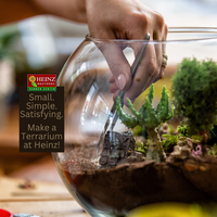 Terrarium