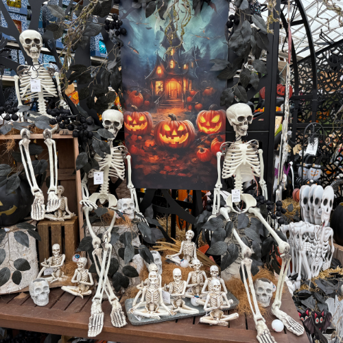 Halloween decorations with skeletons and pumpkins in front of a haunted house painting.